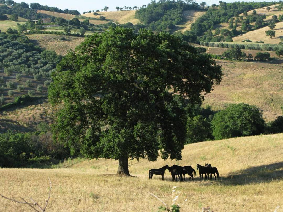 Le Murelle Country Resort Manciano Luaran gambar
